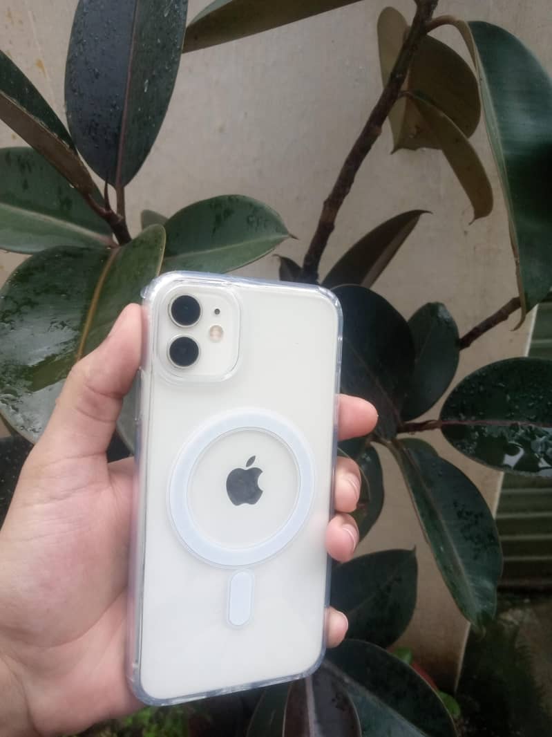 Apple iPhone 11 1