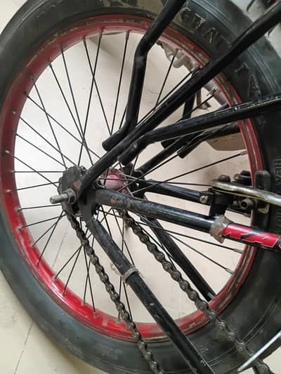 SCUTT CYCLE BEST QUALITY