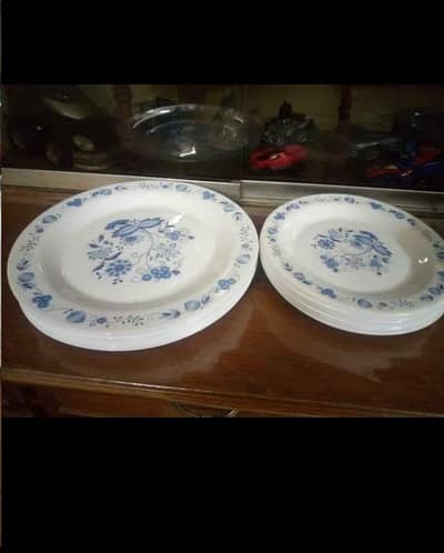 arcopal France plates set