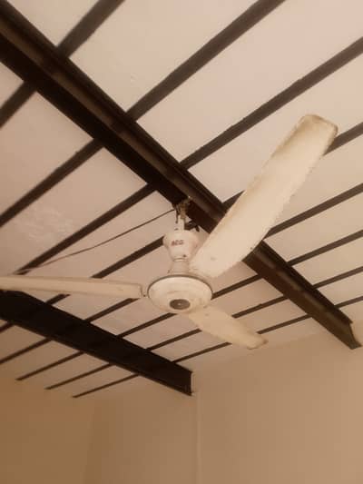 Used fan