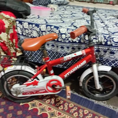 Xtianhang bicycle