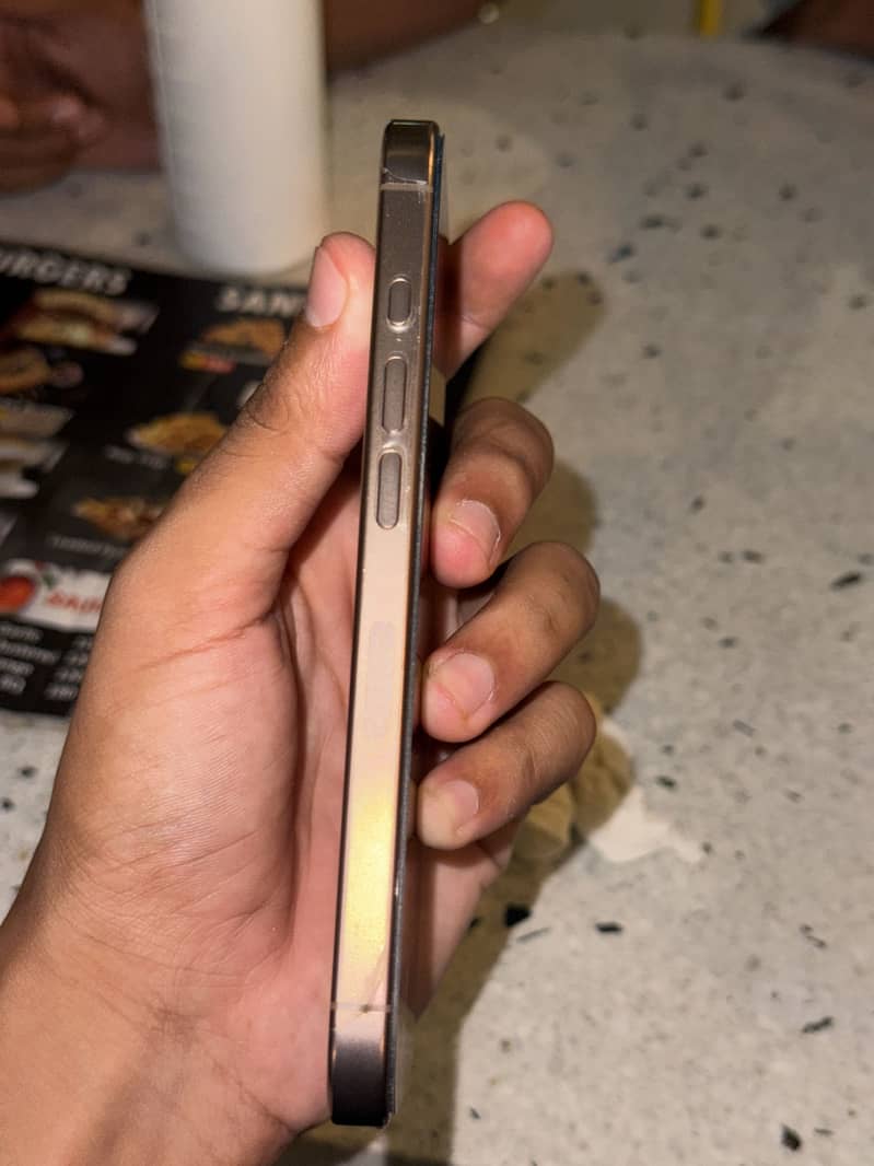Apple iPhone 16 Pro 2