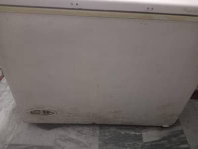 deer Freezer