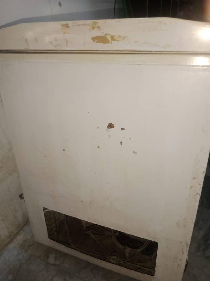 deer Freezer 1