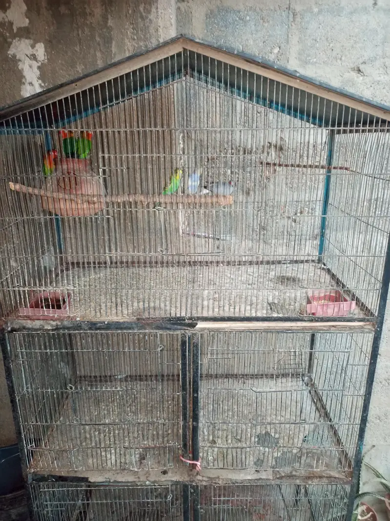 cage for sale — photo 2