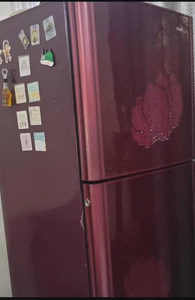 pel larg size glas dor fridge in perfact working condition l