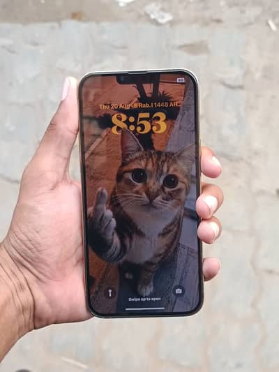 Iphone 13Pro Max MDM