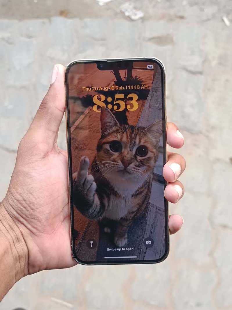 Iphone 13Pro Max MDM 0