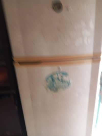 pel  fridge full size for sale