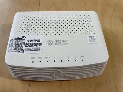GS 3101 xpon Router