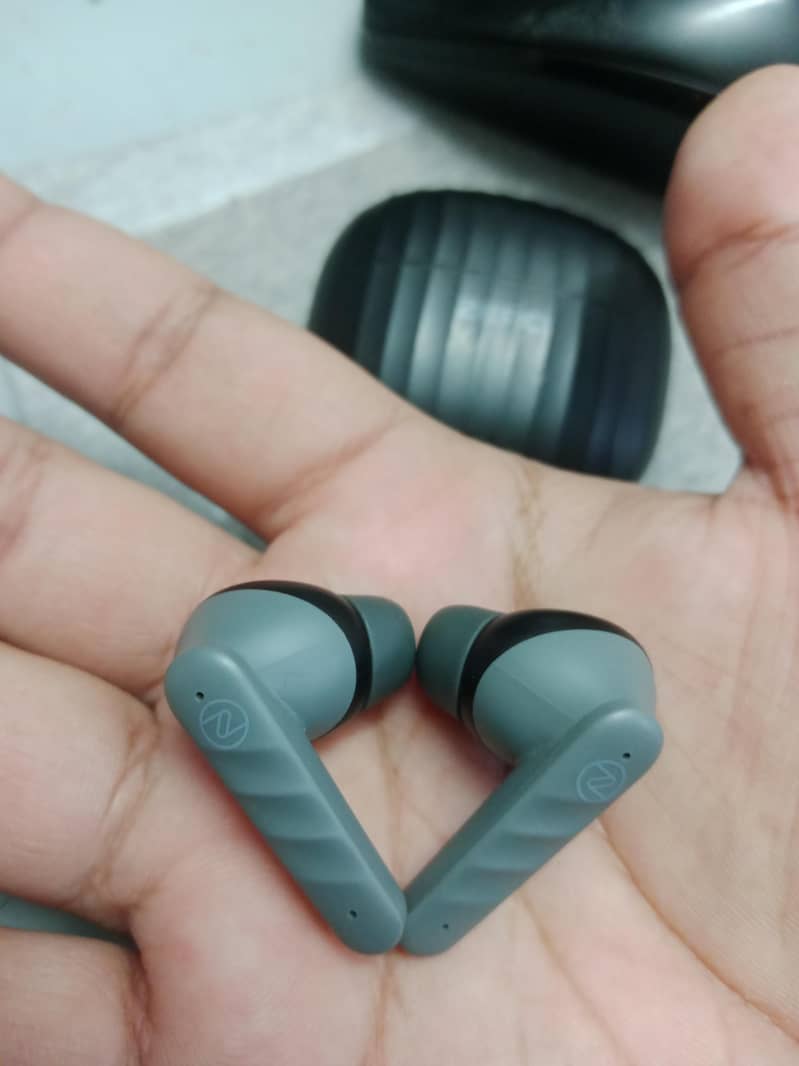 Zero Carbon E-Buds 2