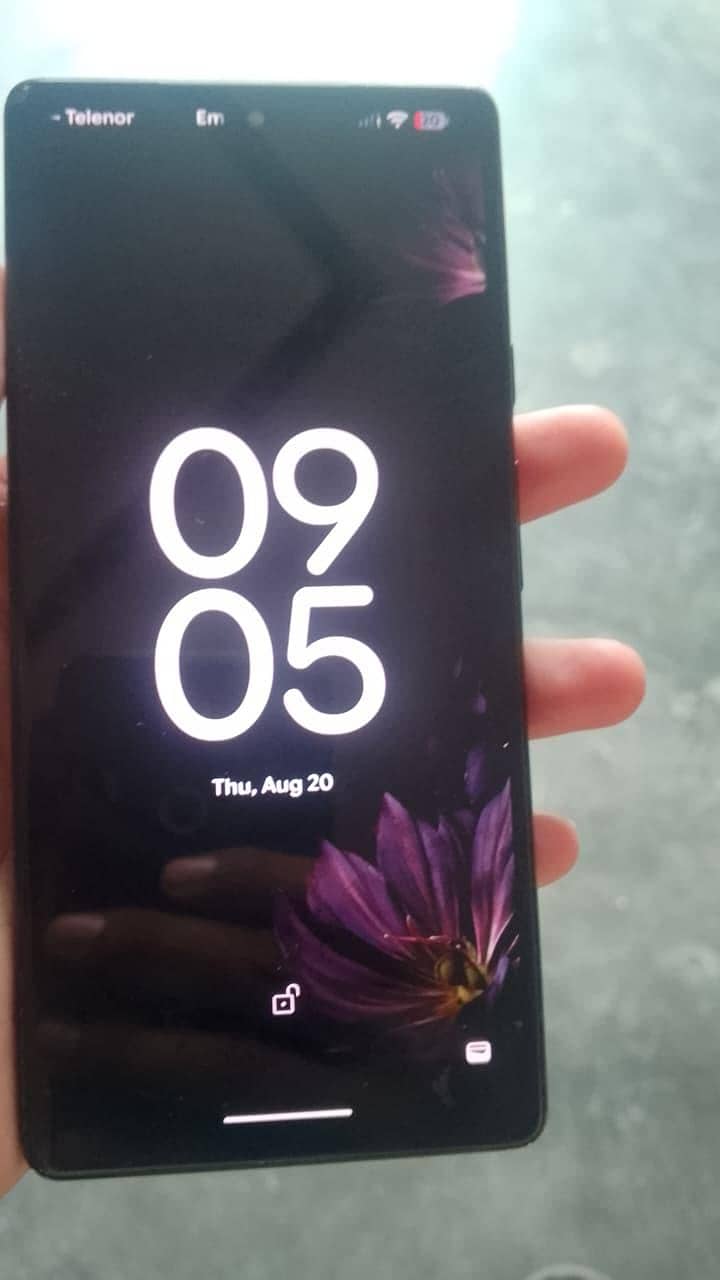 Google Pixel 6 panel change only 0