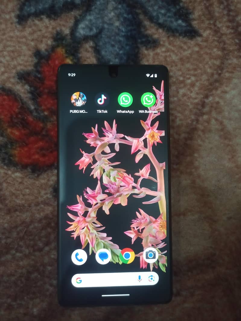 google pixel 6 1
