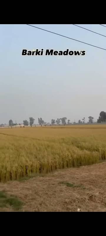 Residential Farmhouse Plot For Sale Is Readily Available In Prime Location Of Barki Meadows
