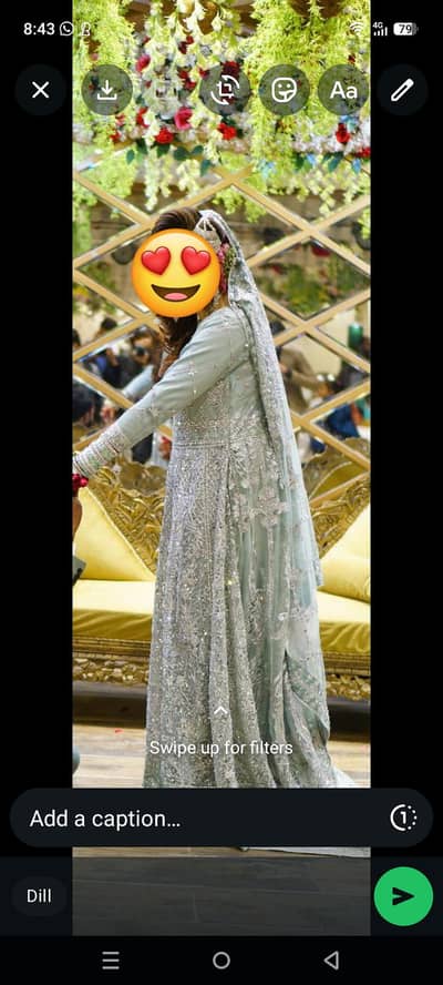 bridal tail meksi