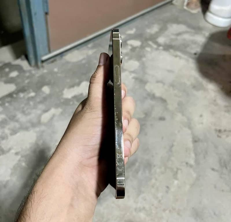 Apple iPhone 12 Pro Max 1