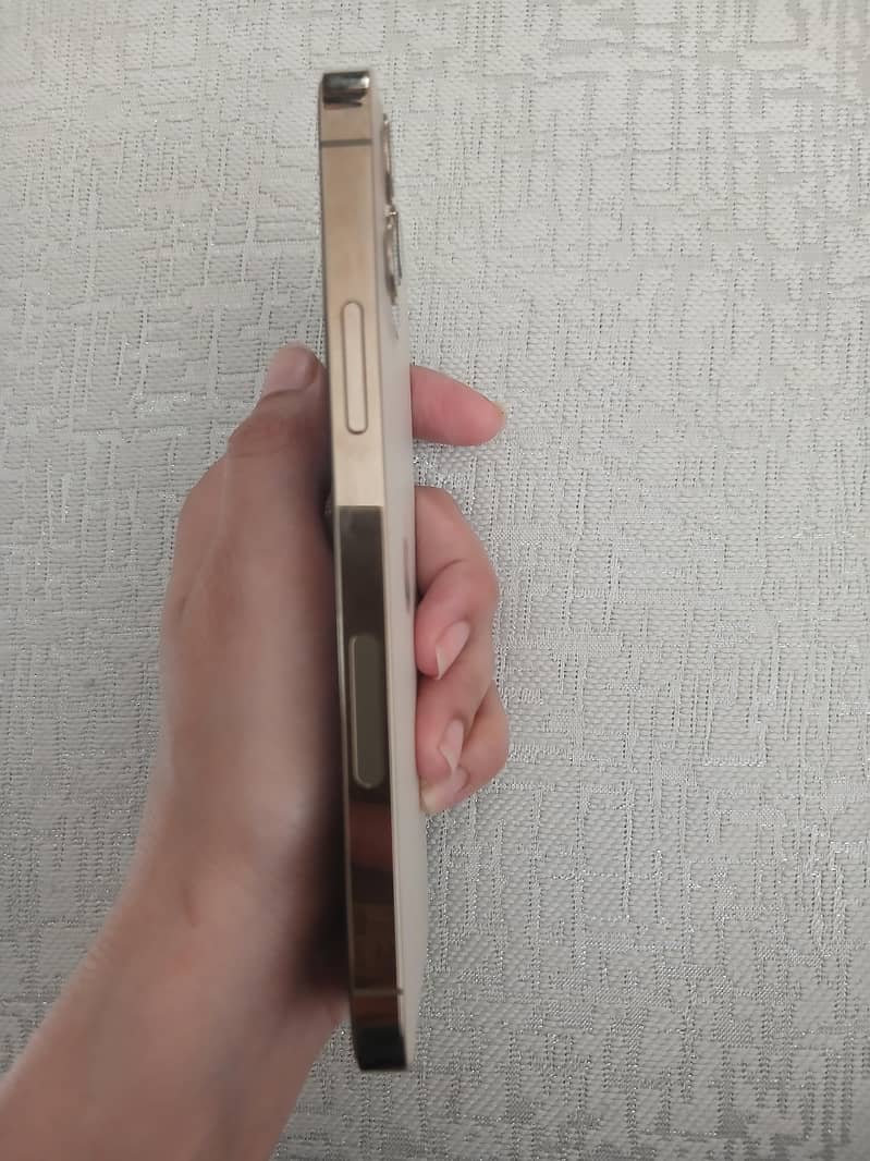 Apple iPhone 12 Pro 1
