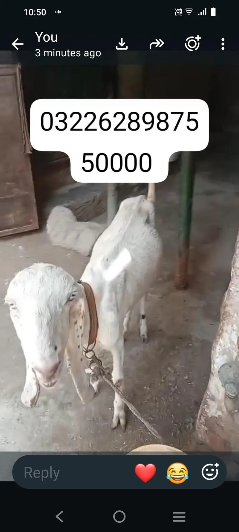 good qulti — photo 3