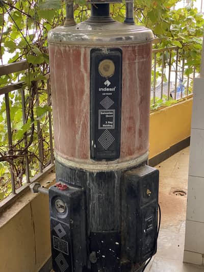 Geyser for sale