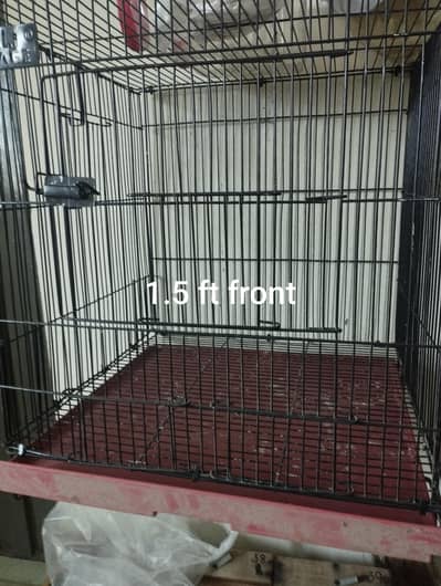 Love bird solid cage