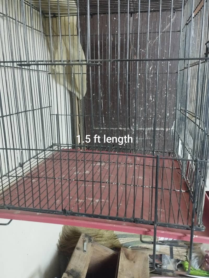 Love bird solid cage 1