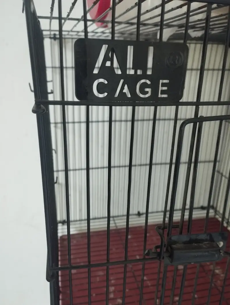 Love bird solid cage — photo 3