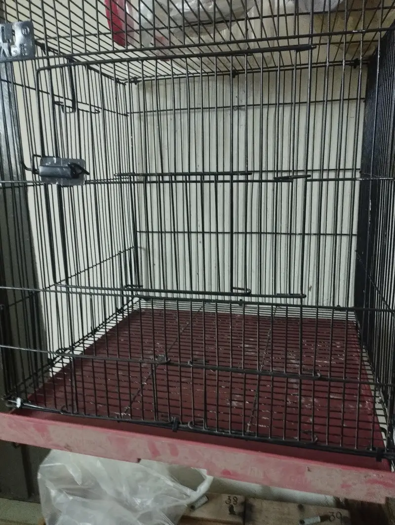 Love bird solid cage — photo 4