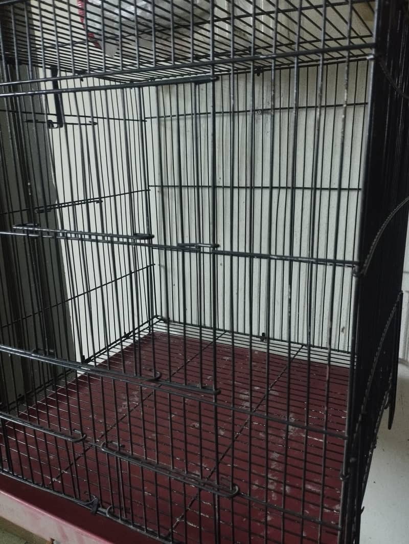 Love bird solid cage 5