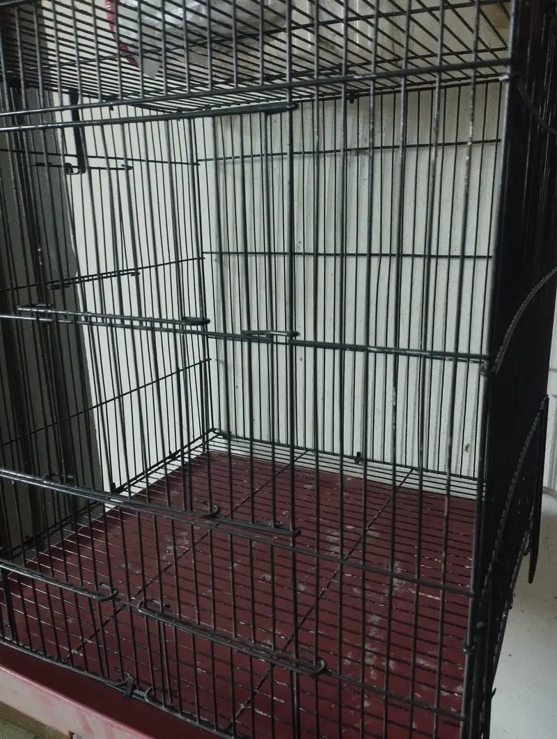 Love bird solid cage — photo 6