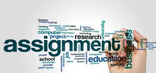 assignment writing