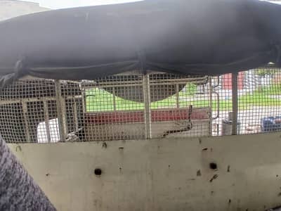 Suzuki pickup hood for sale