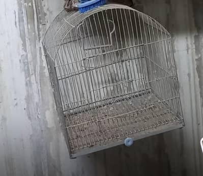 2 cage 031686-42630