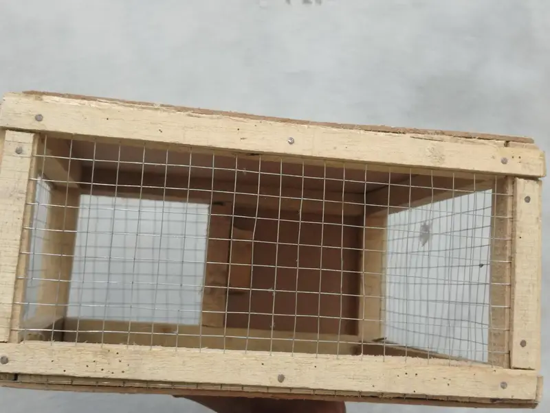 Cargo box for raw parrot — photo 2