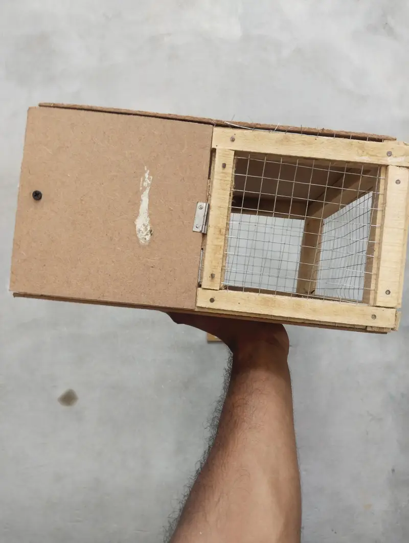 Cargo box for raw parrot — photo 4