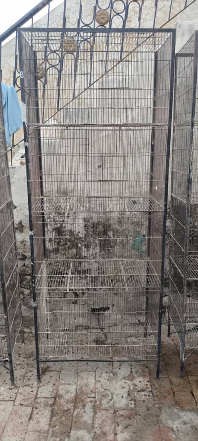 Cages Available Reasonable rate