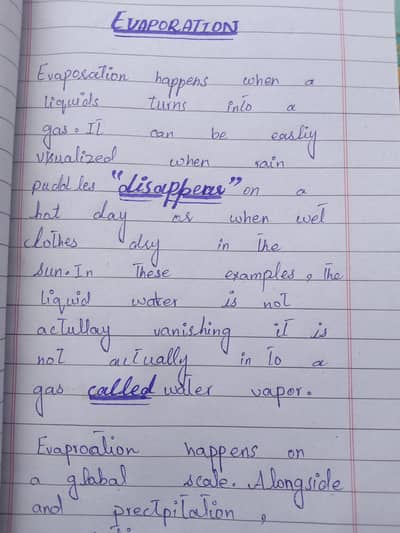 assignment writing