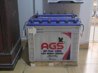 AGS tall tabular batteries