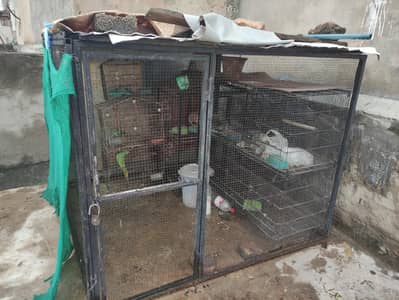 cage for sale
