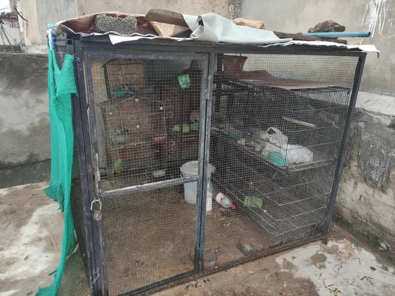 cage for sale — photo 2