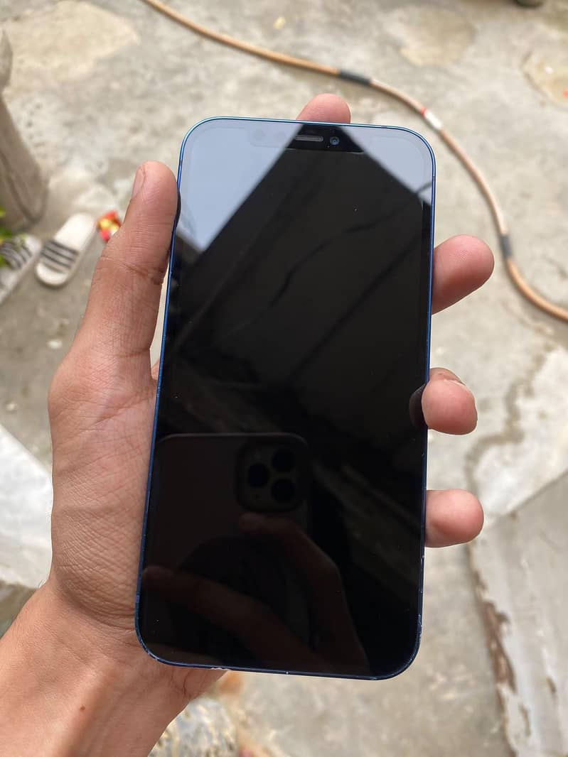 Apple iPhone 12 1