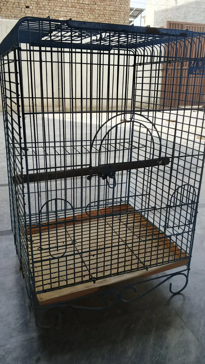 gray parrot and meacow cage for sale 0300,68,77,645 — photo 6