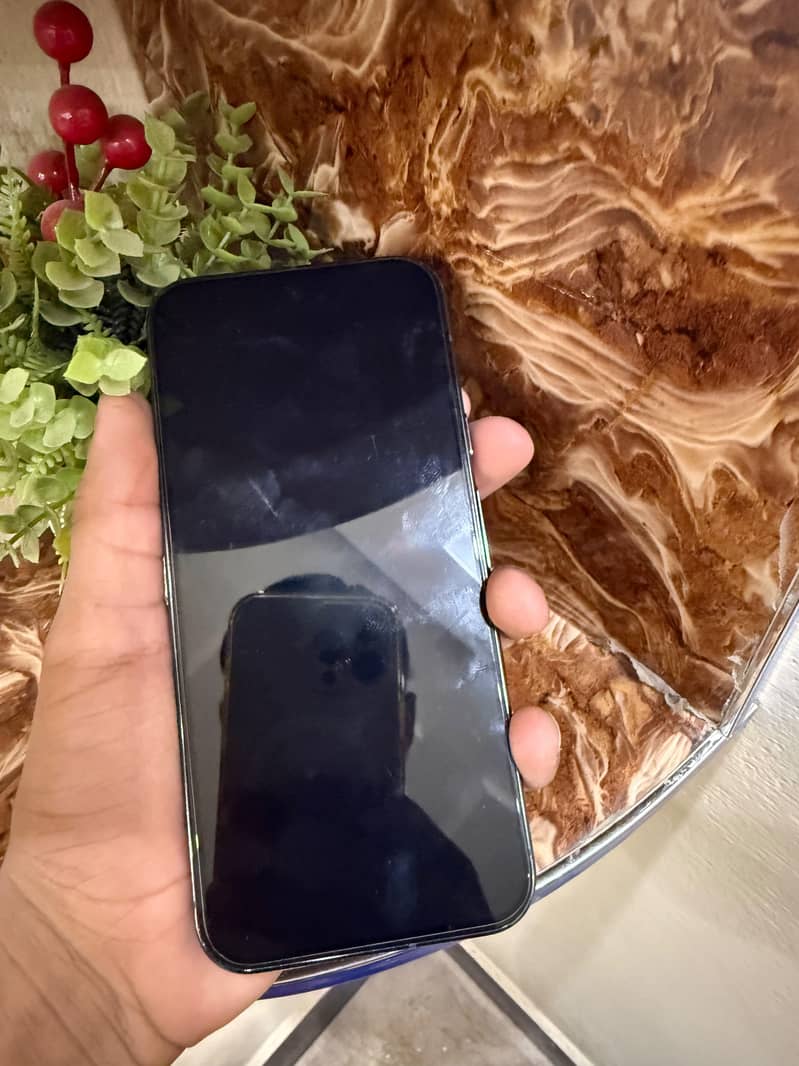Google Pixel 9 Pro XL 1