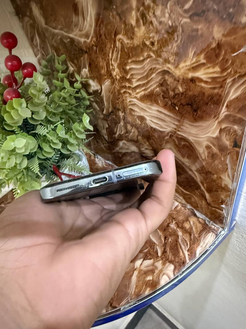 Google Pixel 9 Pro XL 4