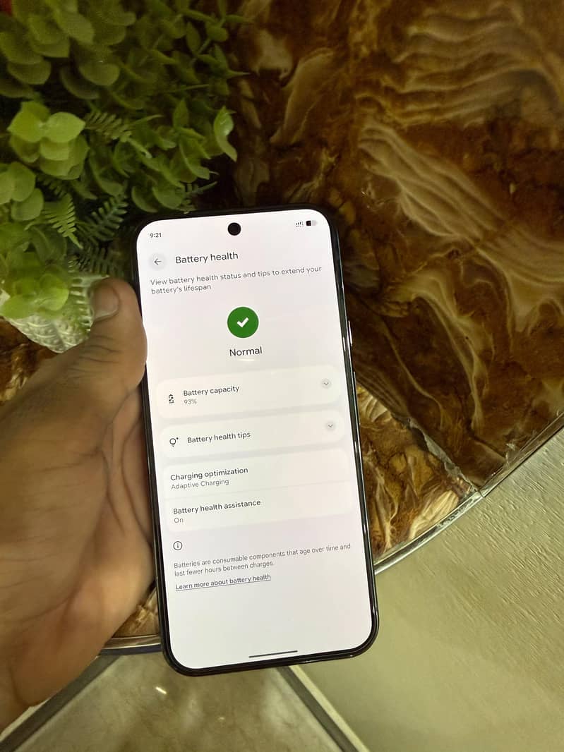Google Pixel 9 Pro XL 5