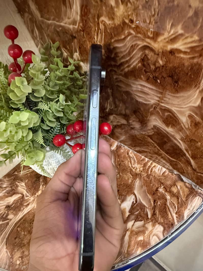 Google Pixel 9 Pro XL 6