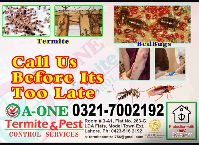 Fumgation/Cockroches solution/Bed bugs/pest control · Termite 0