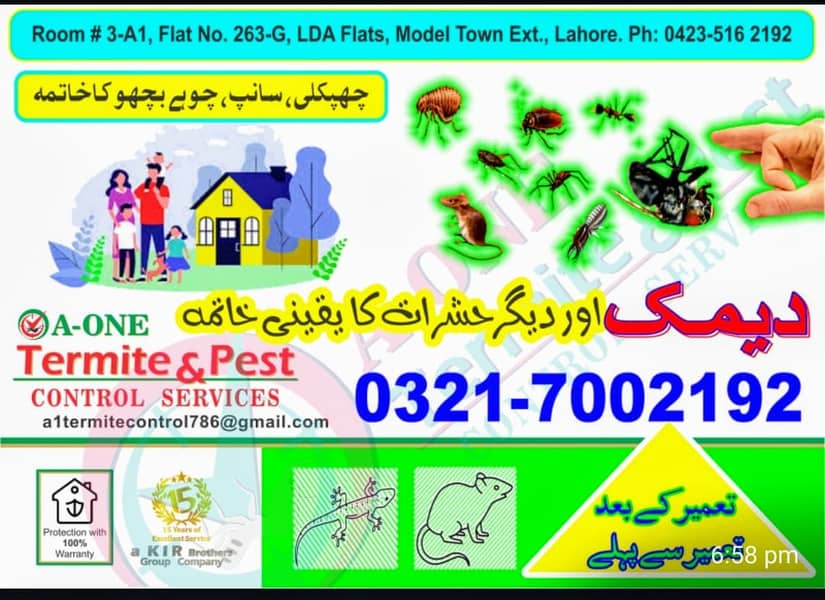 Fumgation/Cockroches solution/Bed bugs/pest control · Termite 1
