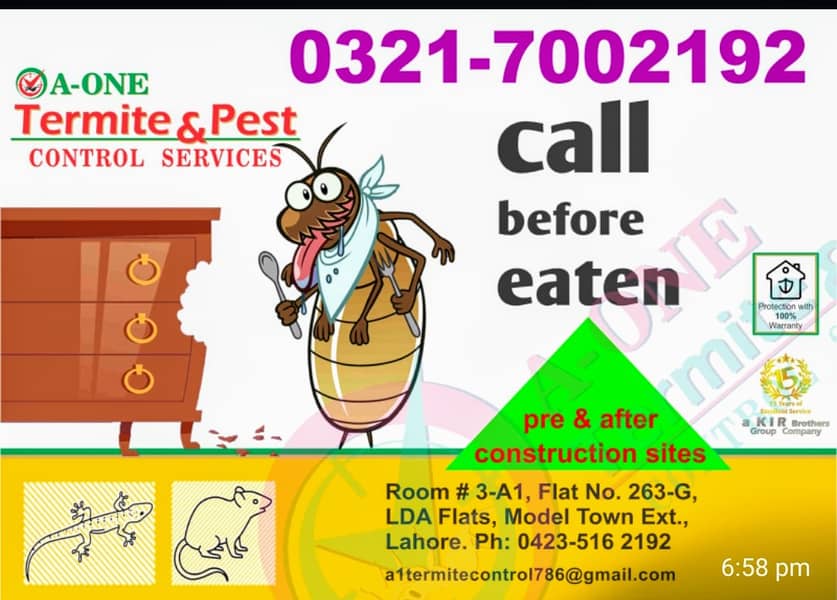 Fumgation/Cockroches solution/Bed bugs/pest control · Termite 3