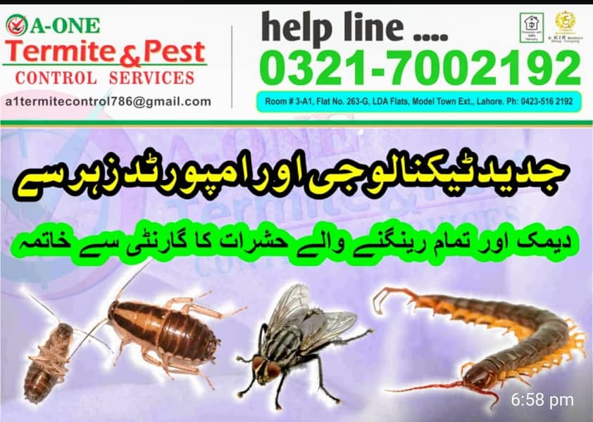 Fumgation/Cockroches solution/Bed bugs/pest control · Termite 4