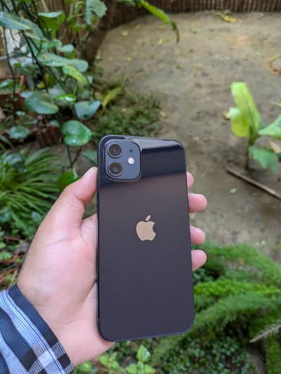 Apple iPhone 12